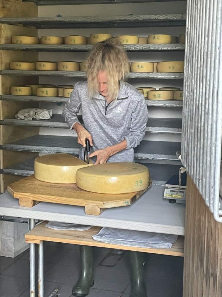 Making of Swiss cheese