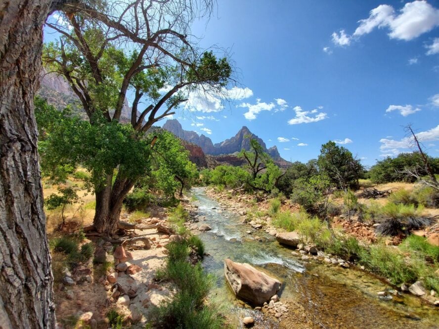 The Virgin River flowing along the Pa’rus Trail in Zion National Park