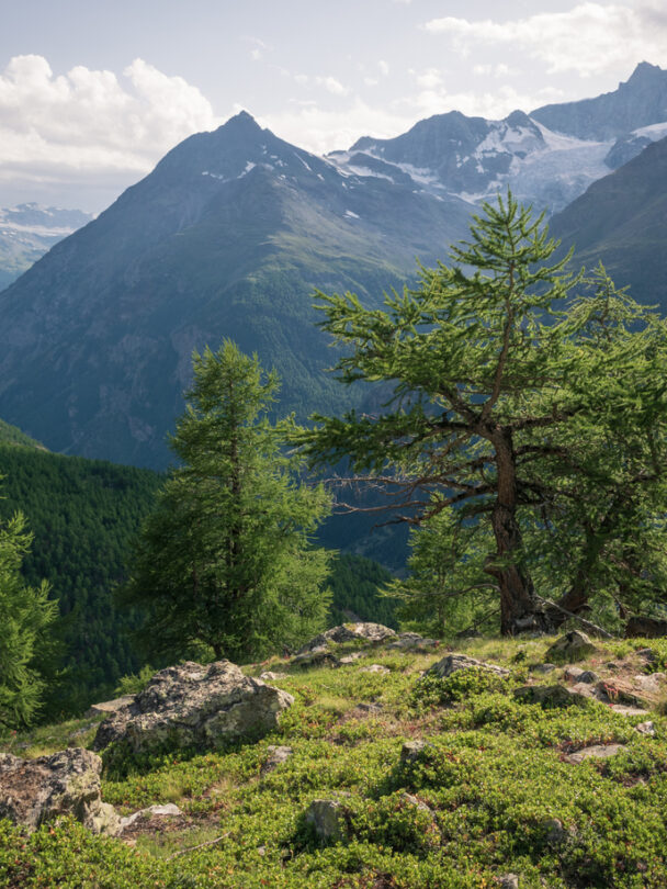 Tour de Monte Rosa Hiking Adventure.