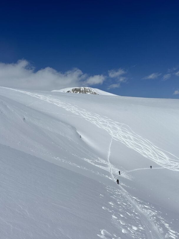 group skiers bow yoho
