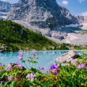 Sorapis mountain towering of its namesake lake ringed by flowers