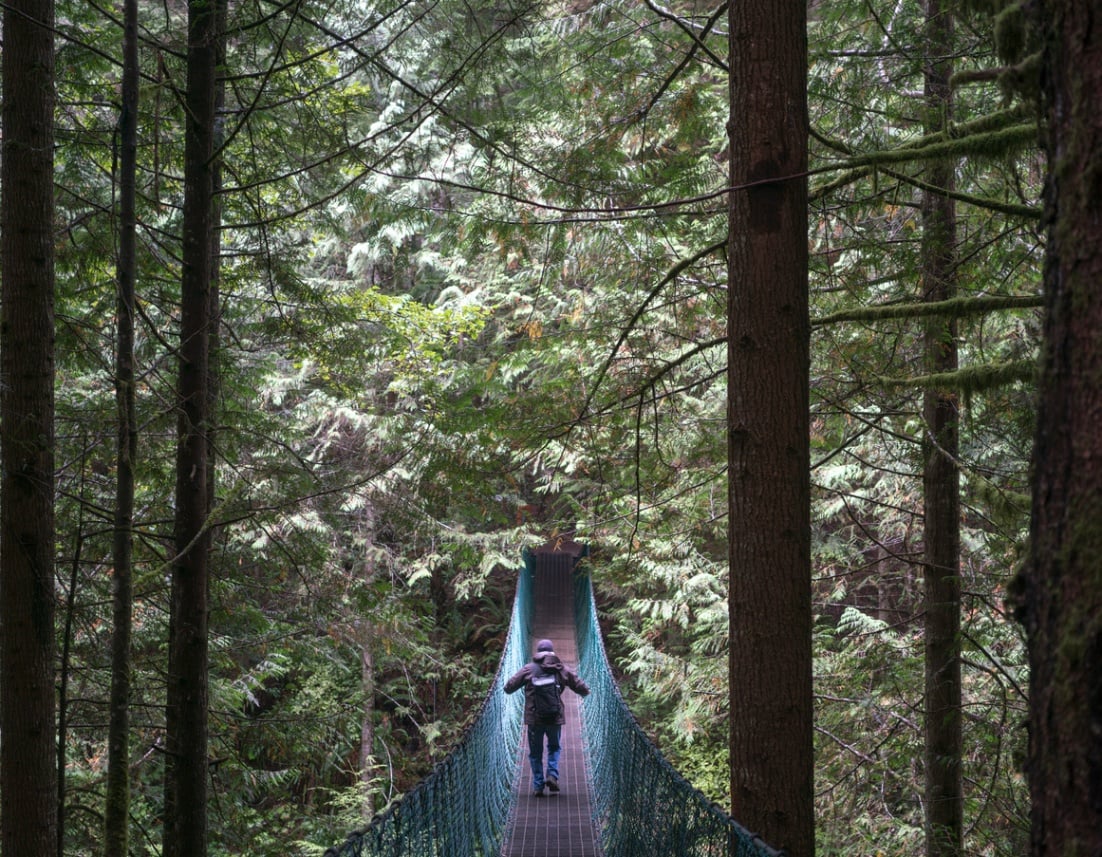 A hiker walking a suspension bridge in a rainforest while on a West Coast Trail trekking trip.
