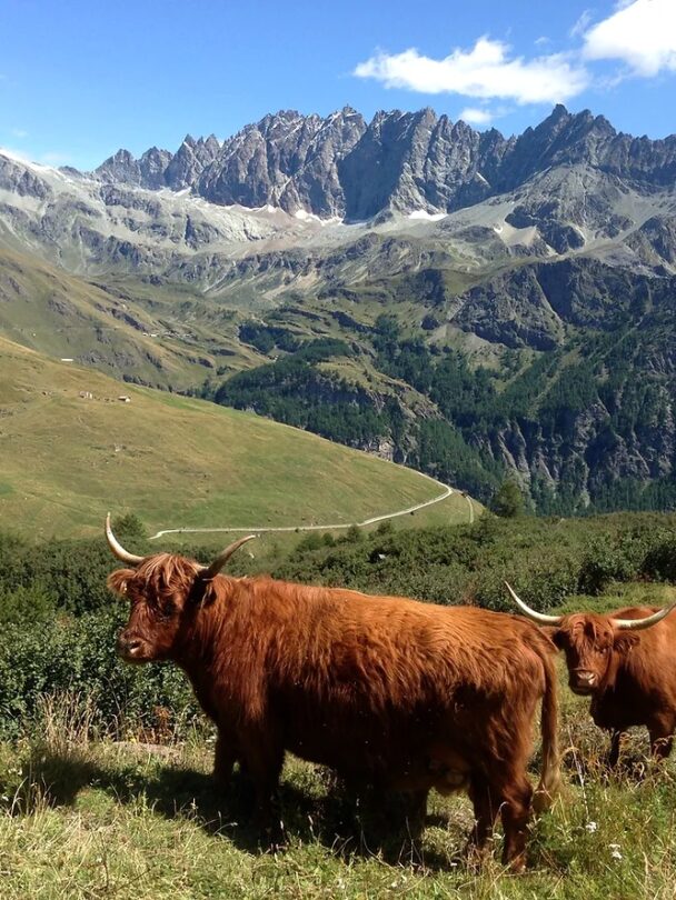 Hiking the Tour des Combins Trek in the Swiss Alps