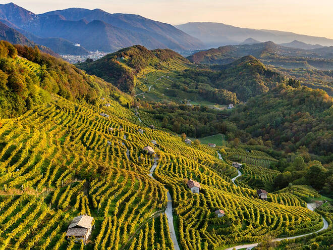 Views of a vineyard in Valdobbiadene, home to the famed Prosecco wine. 