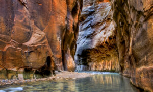 Towering sandstone cliffs in Zion Canyon’s Narrows