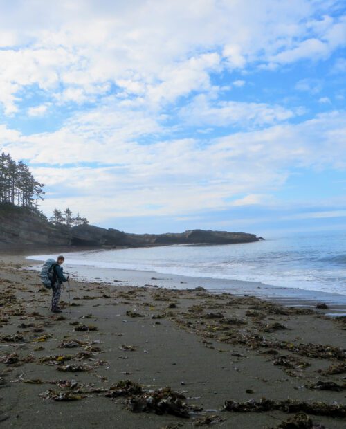 Hiking Adventure Along the Majestic West Coast Trail