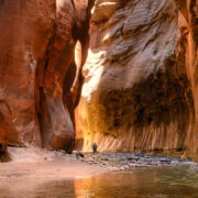 Shallow section of the Narrows hike in Zion