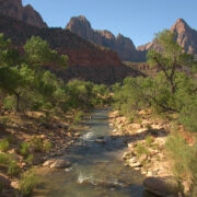 The Virgin River flowing along the Pa’rus Trail in Zion National Park