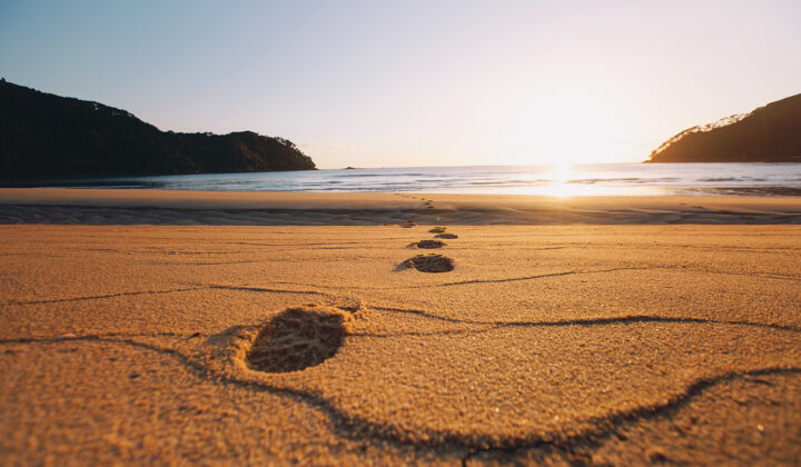 Footprints in the sandy coastline of Abel Tasman