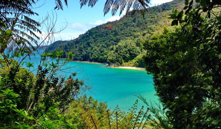 A view of the Abel Tasman Coast.