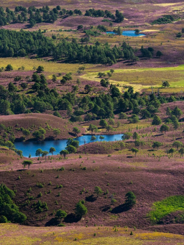 Women’s Hiking Tour of Cairngorms NP, Scotland.