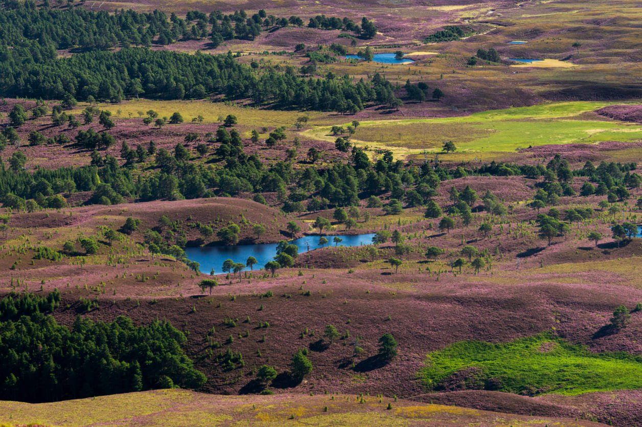 Cairngorms colors