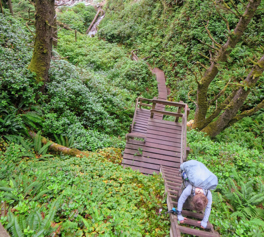 A hiker climbing a ladder along the West Coast Trail on Vancouver Island.