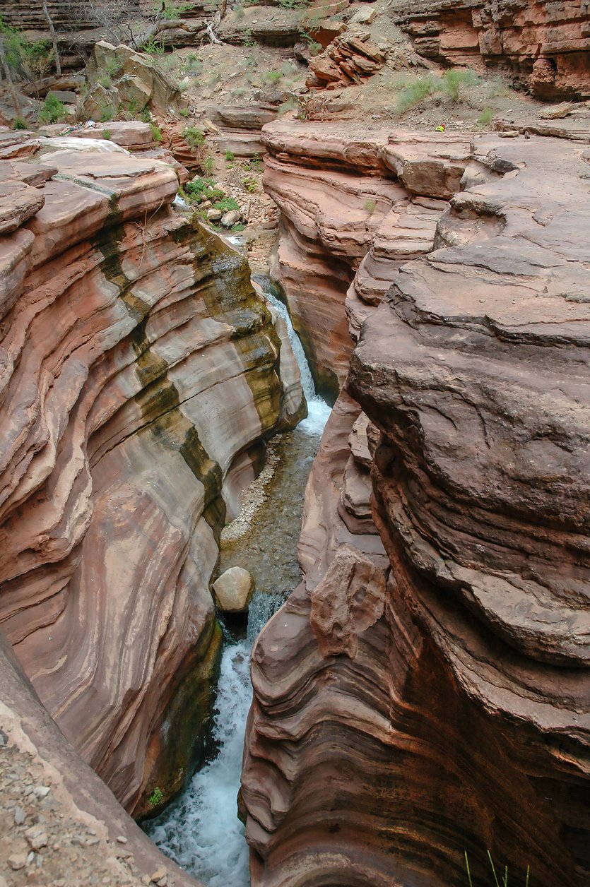 Creek in Grand Canyon