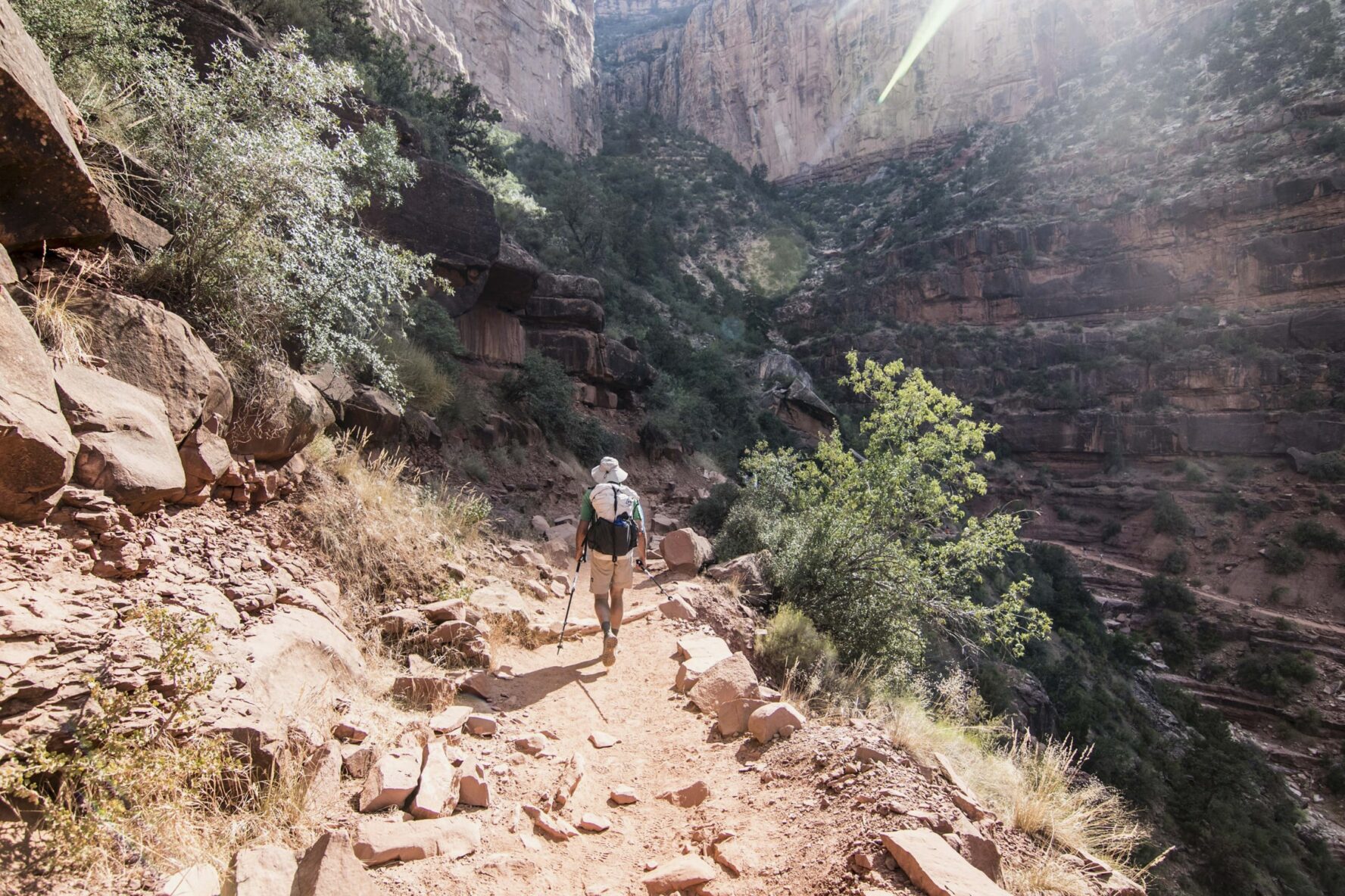 A hiker in Grand Canyon National Park walking near a cliff.