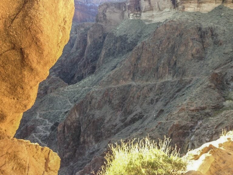 Some rocks and vegetation along the Grand Canyon.