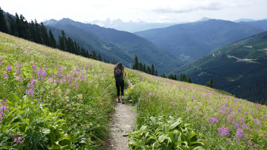 Guided all-women hike in Canada