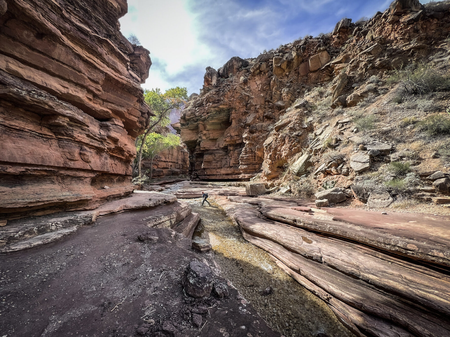 Hiker in Grand Canyon
