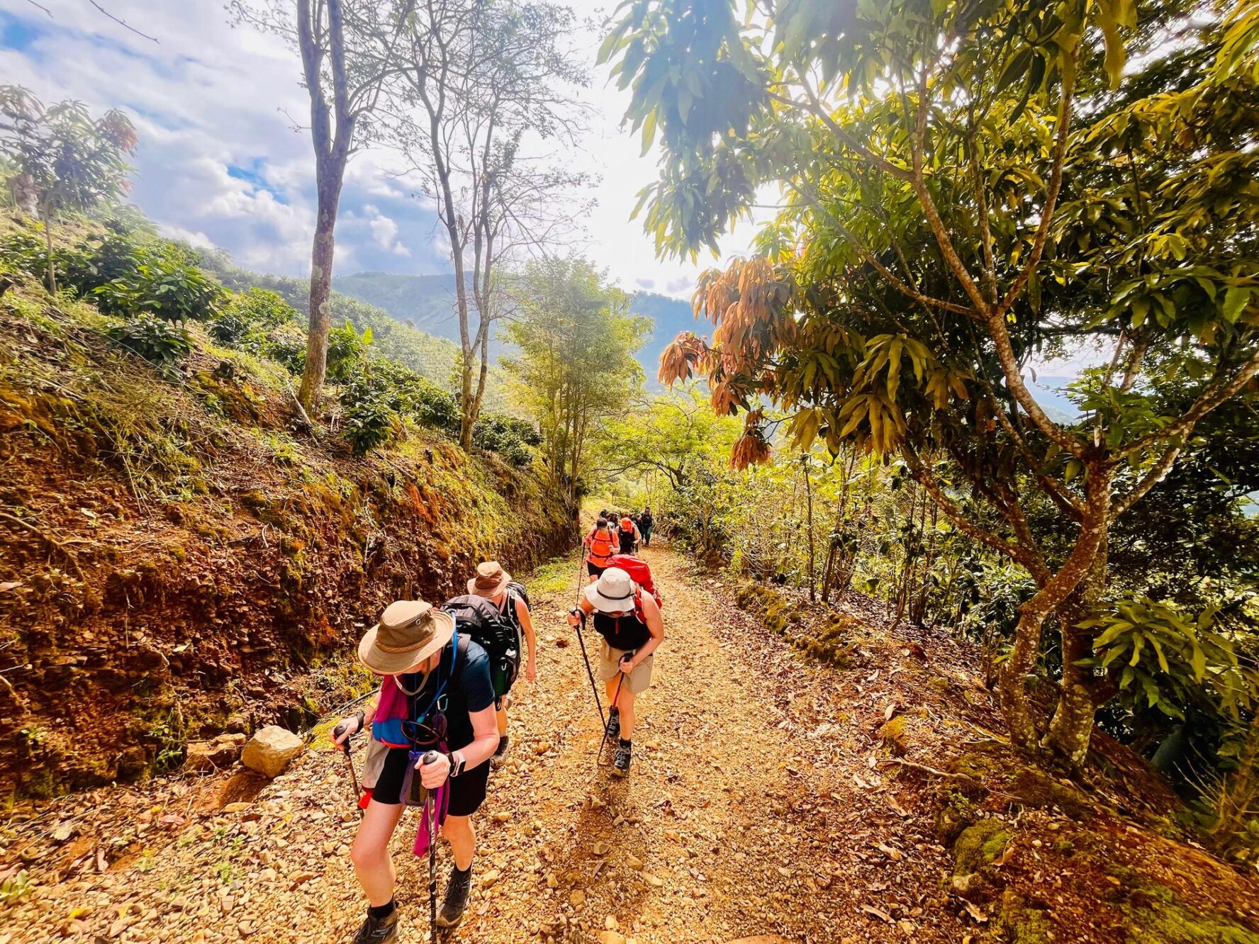 hiking costa rica lush