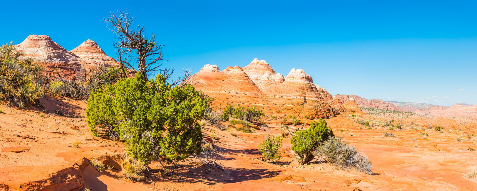 Guided Hiking through the Paria River Canyon | 57hours