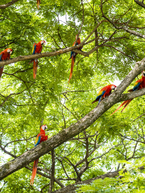 Guided multisport tour, Coast to Coast in Costa Rica