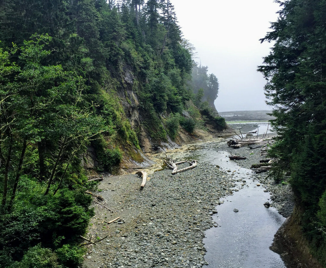 COMPLETE GUIDE TO HIKING THE WEST COAST TRAIL 2026 visual data 8