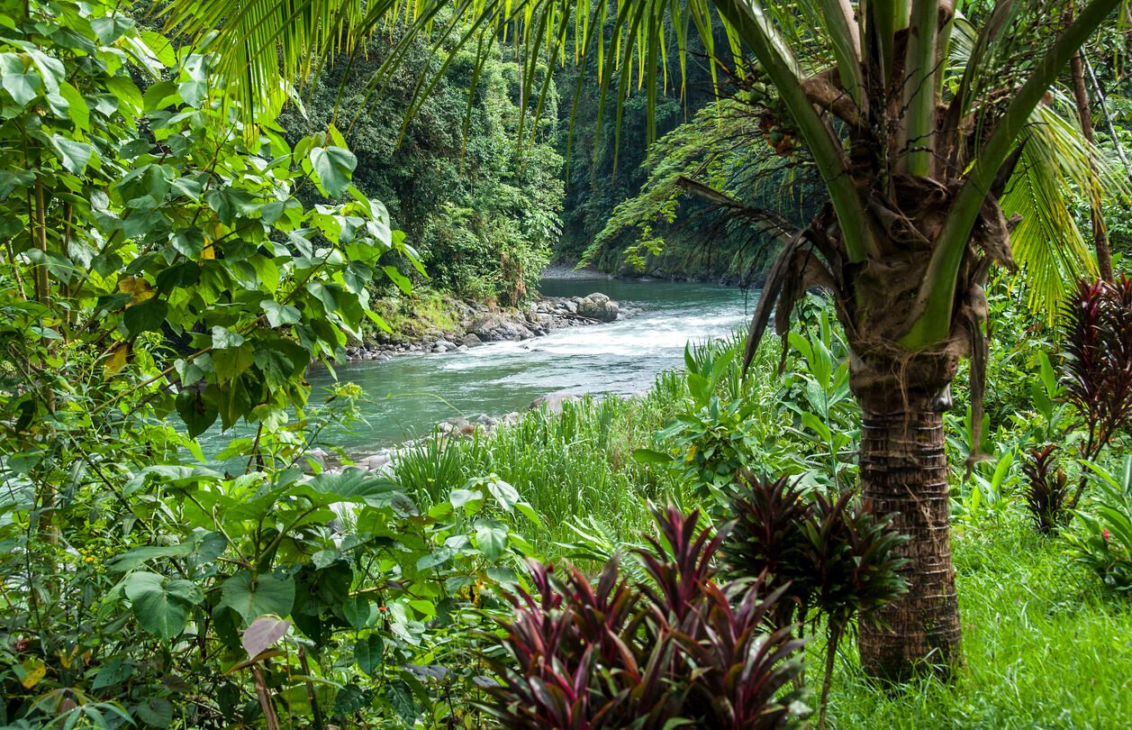 Pacuare river in Costa Rica