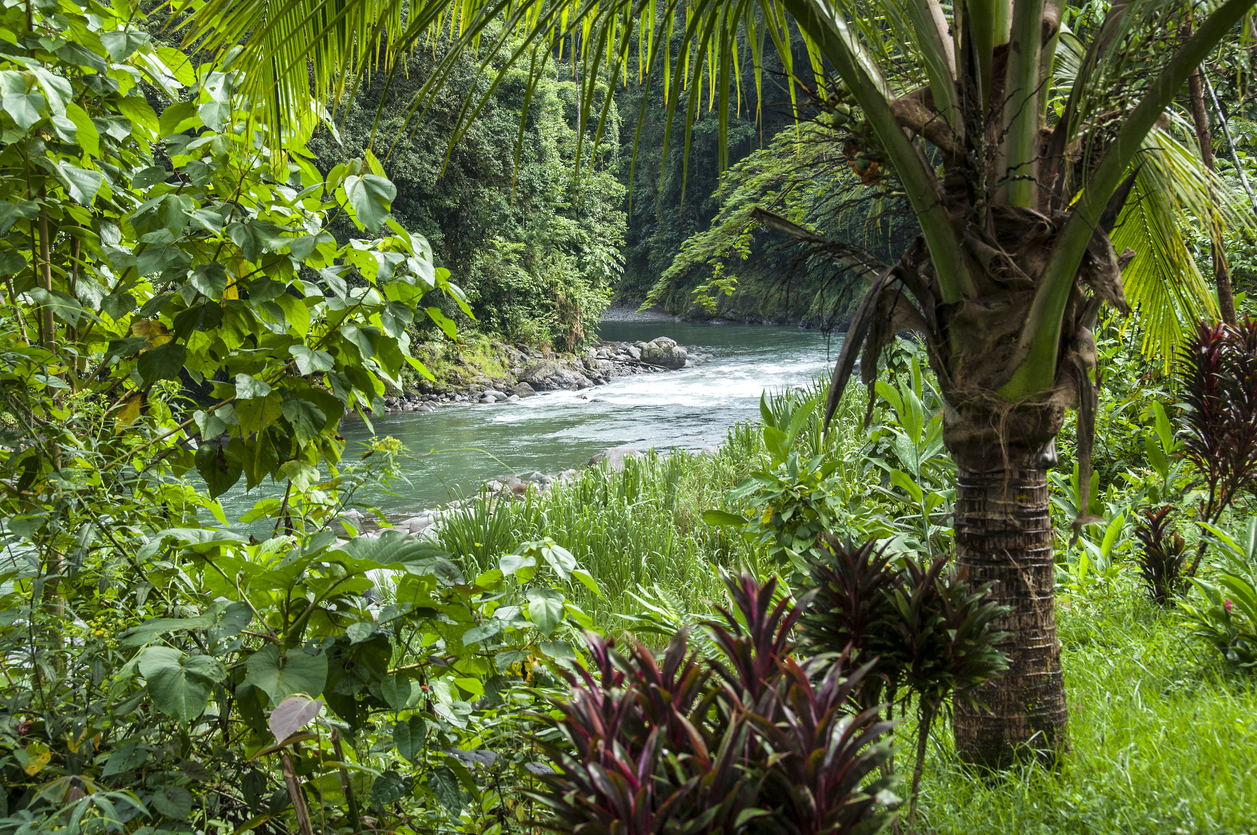 Pacuare river in Costa Rica