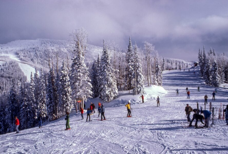 Many skiers on groomed trails