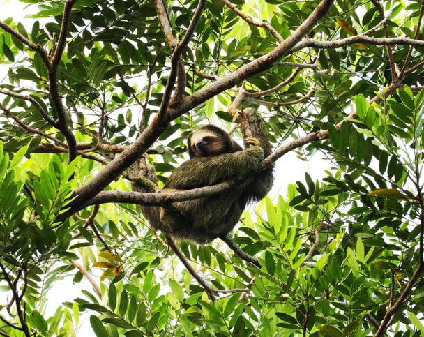 Guided multisport tour, Coast to Coast in Costa Rica