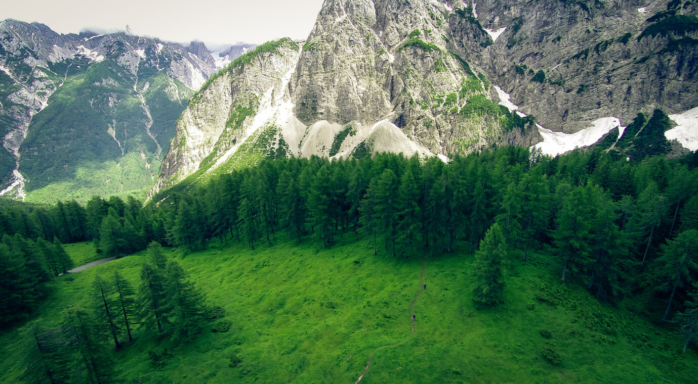 Vršič Pass covered in luscious conifers seen during hiking holidays in Slovenia’s Julian Alps.