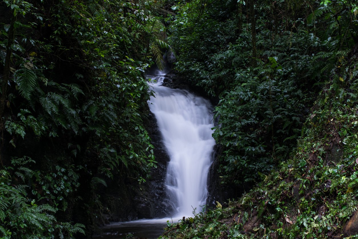Waterfall in the forest of Costa Rica