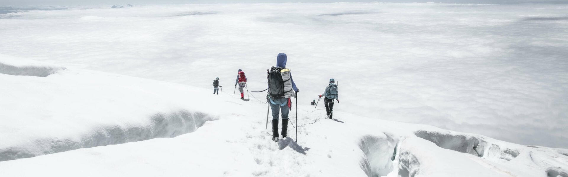 A team of mountaineers is roped up and descending from the snowy peak of Mount Baker. Photo courtesy of Sunny Stroeer