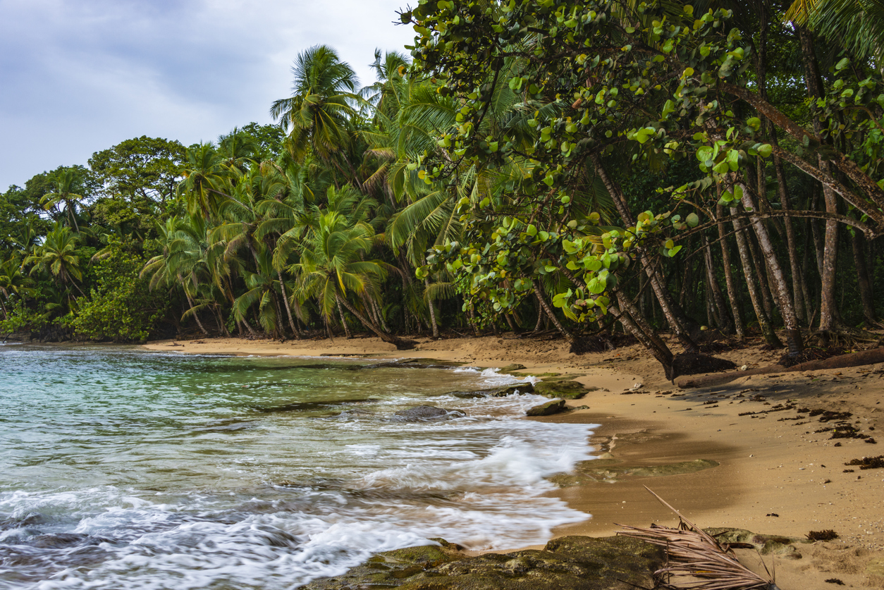 Cahuita National Park on the Caribbean coast.