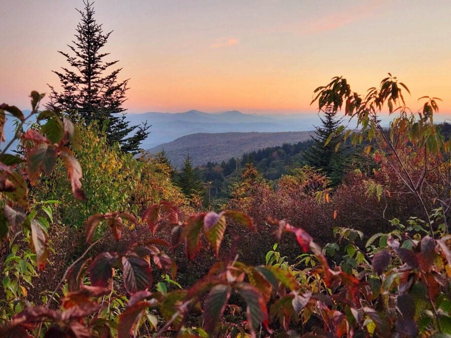 Fall in the woods of the Appalachian Trail