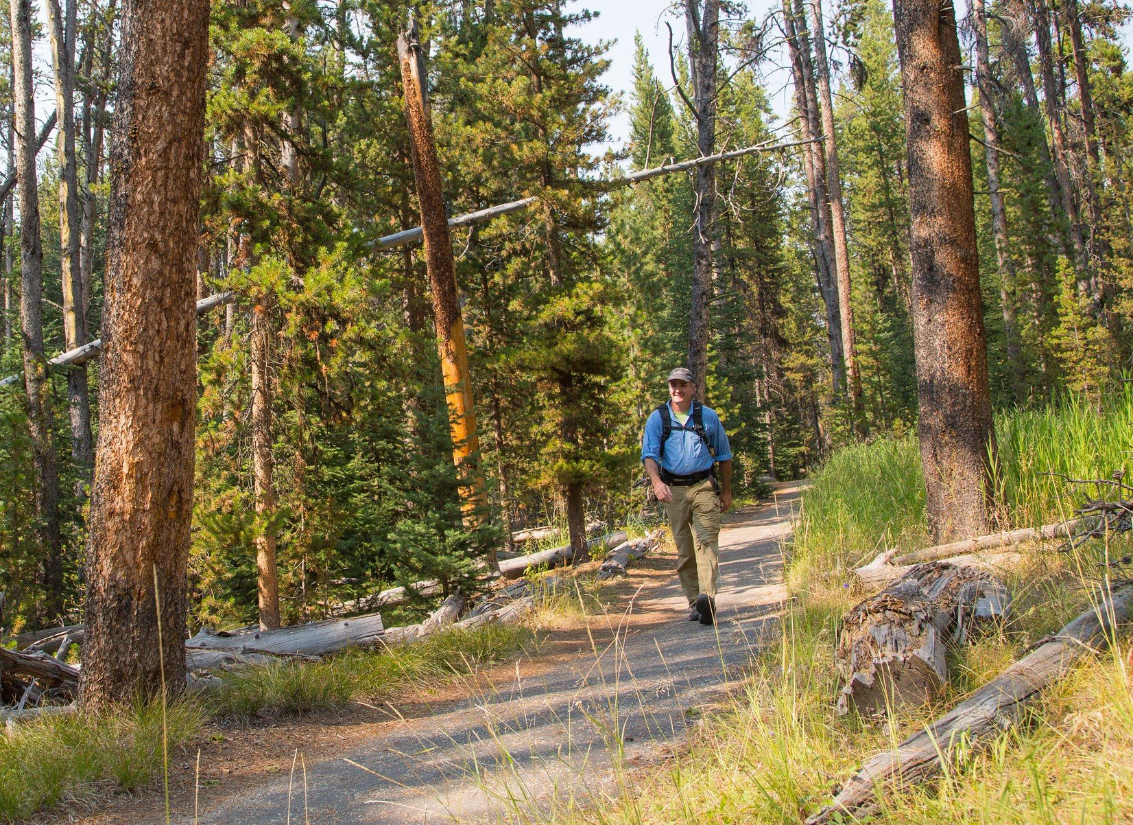 Half Day of Private Guided Hiking in Yellowstone