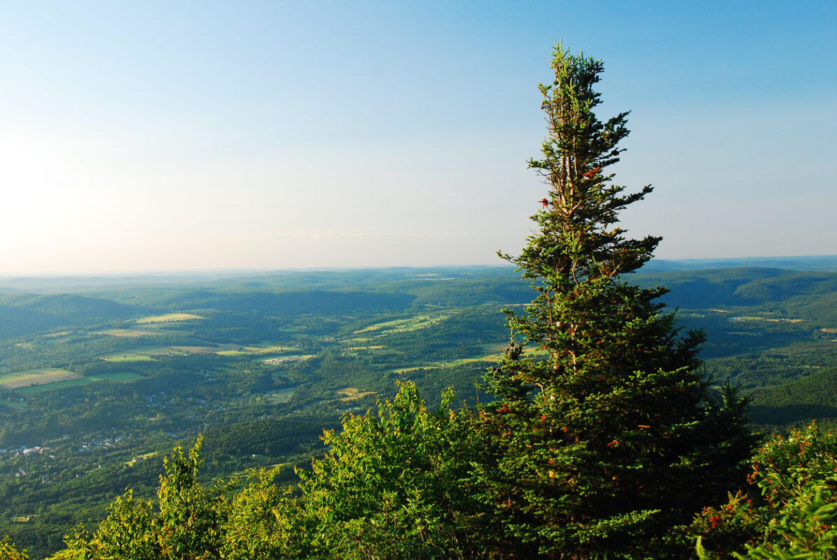 Mt. Greylock in Massachusetts