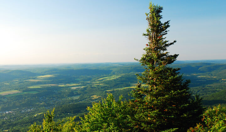 Mt. Greylock in Massachusetts