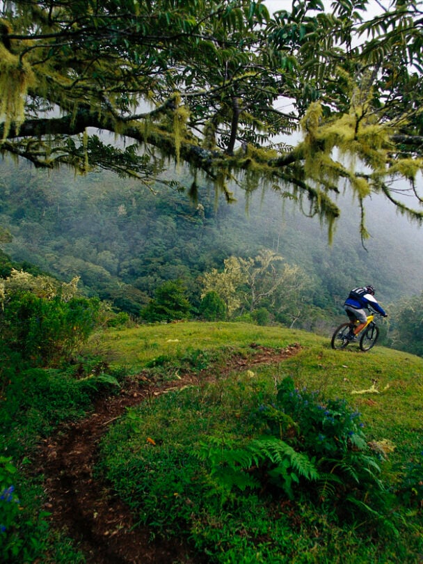 Riding a mountain bike in Costa Rica surrounded by thick tropical vegetation.