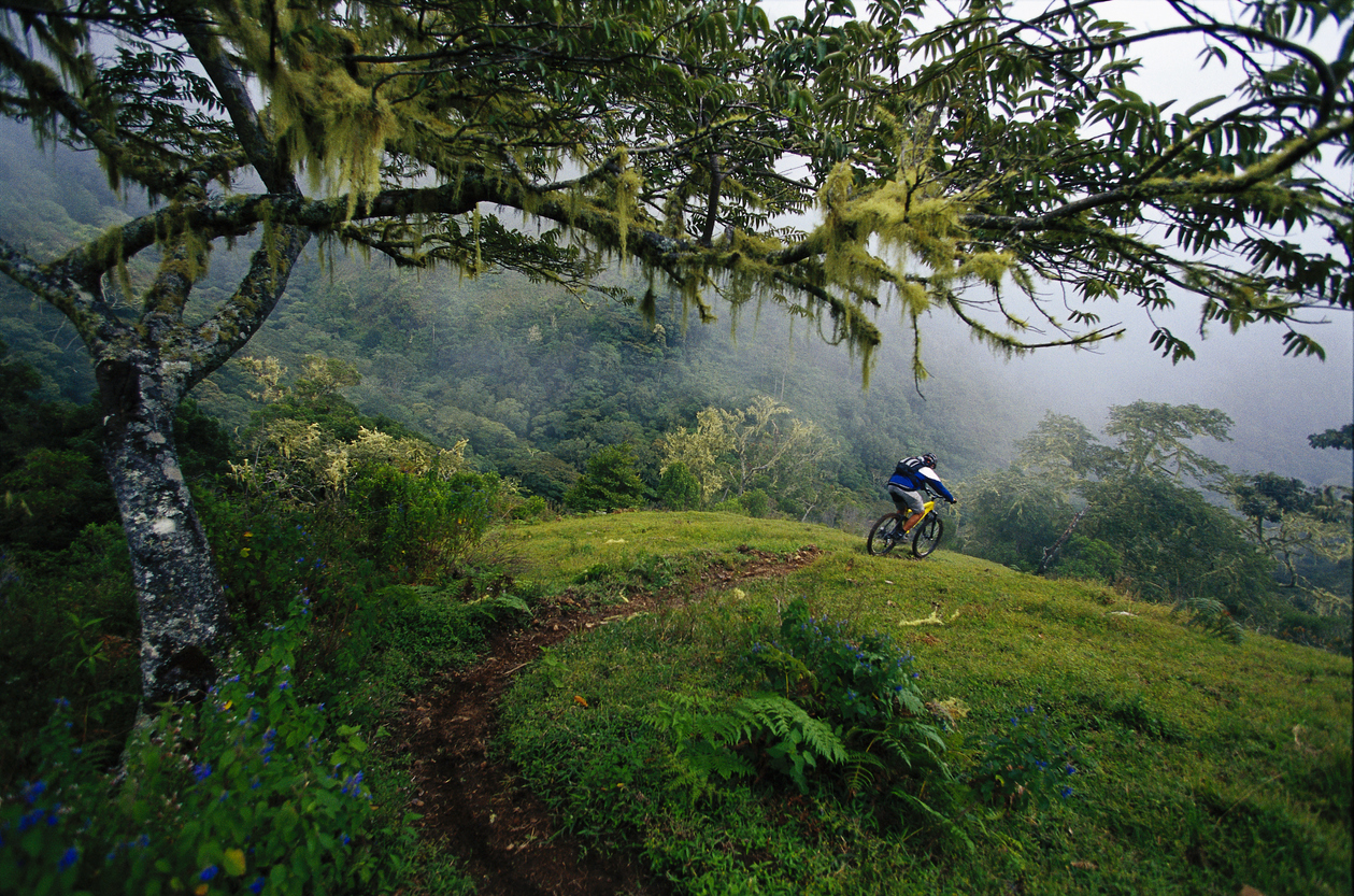 Riding a mountain bike in Costa Rica surrounded by thick tropical vegetation.