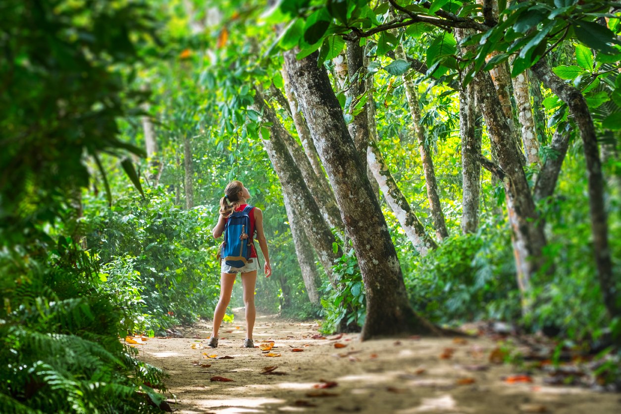A hiker hiking through a lush tropical forest in Costa Rica.