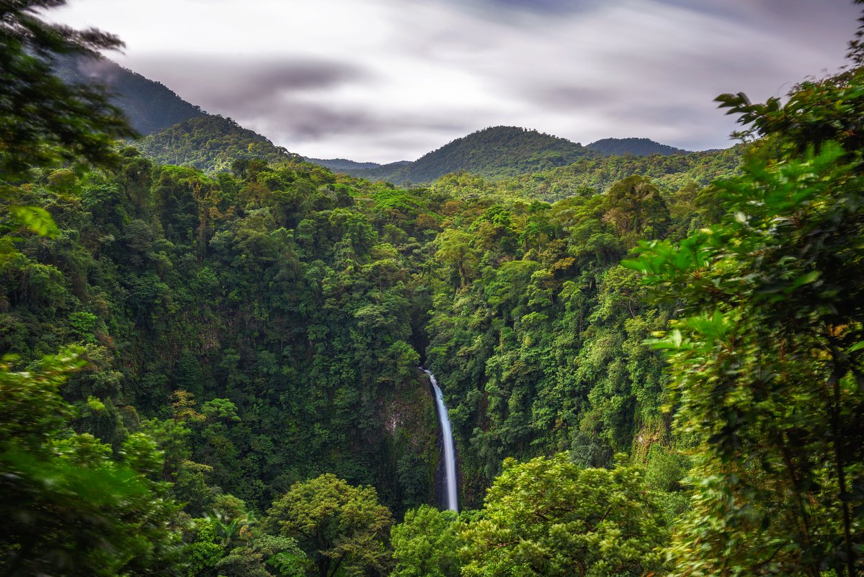 Waterfall in Costa Rica appearing from thich rainforest foliage.