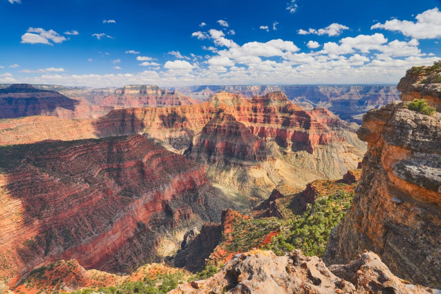 View into the Grand Canyon with red layered strips interspersed with the green of trees under a blue sky.