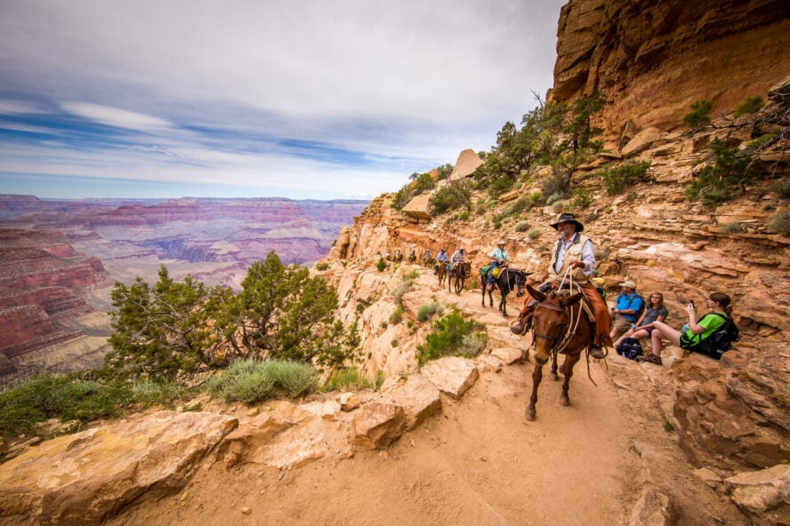 A group of tourists are riding horses along the South Kaibab Trail.