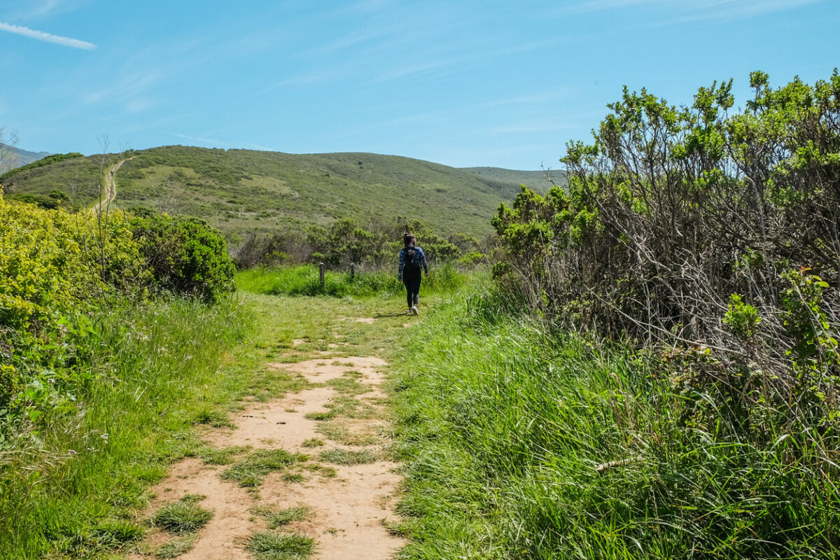 A female hiker on a trail in Andrew Molera State Park, California.
