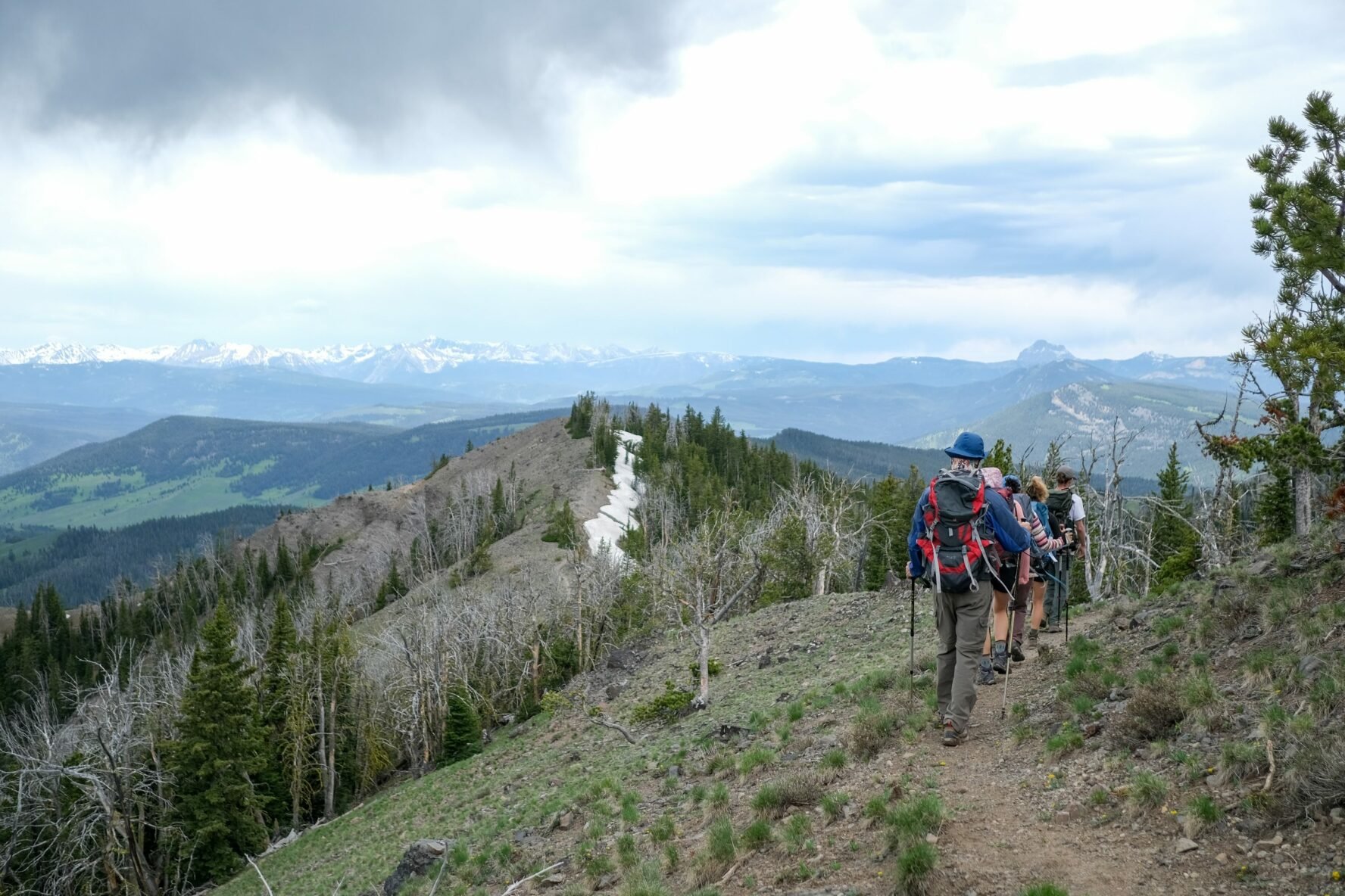 Best Time to Visit Yellowstone A Local's Guide