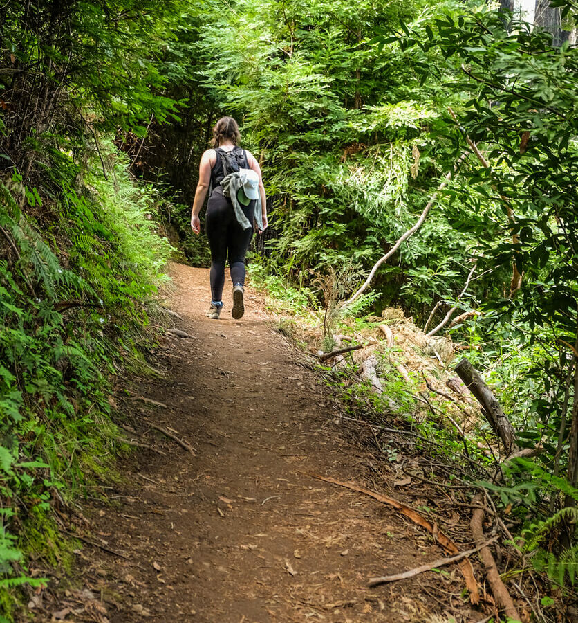 8 Best Hikes and Backpacking Trails in Big Sur for 2023