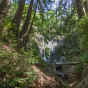 A view of Pfeiffer Falls in Big Sur. iStock