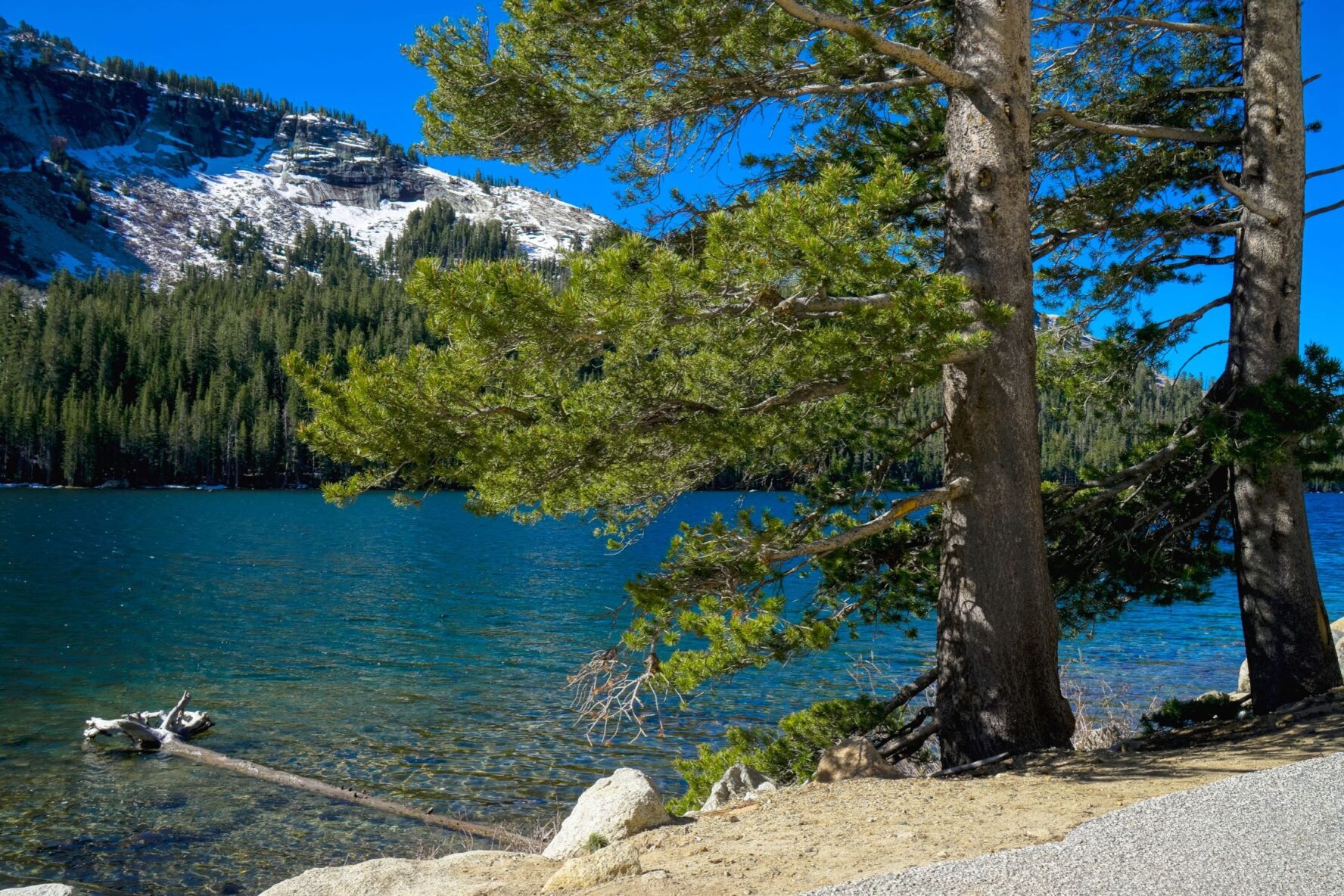 Crystal-clear May Lake, in Yosemite.