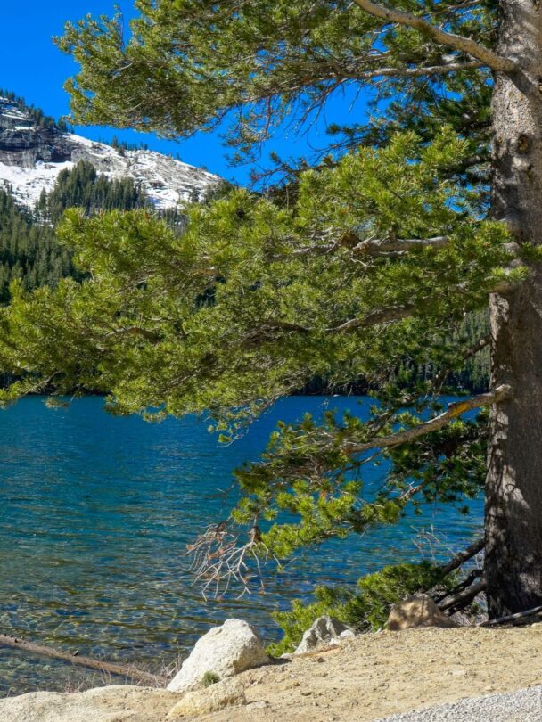 All-Inclusive Yosemite Backpacking Tours.